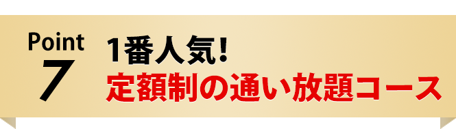 定額制の通い放題コース